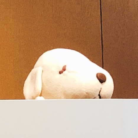 ドッペ