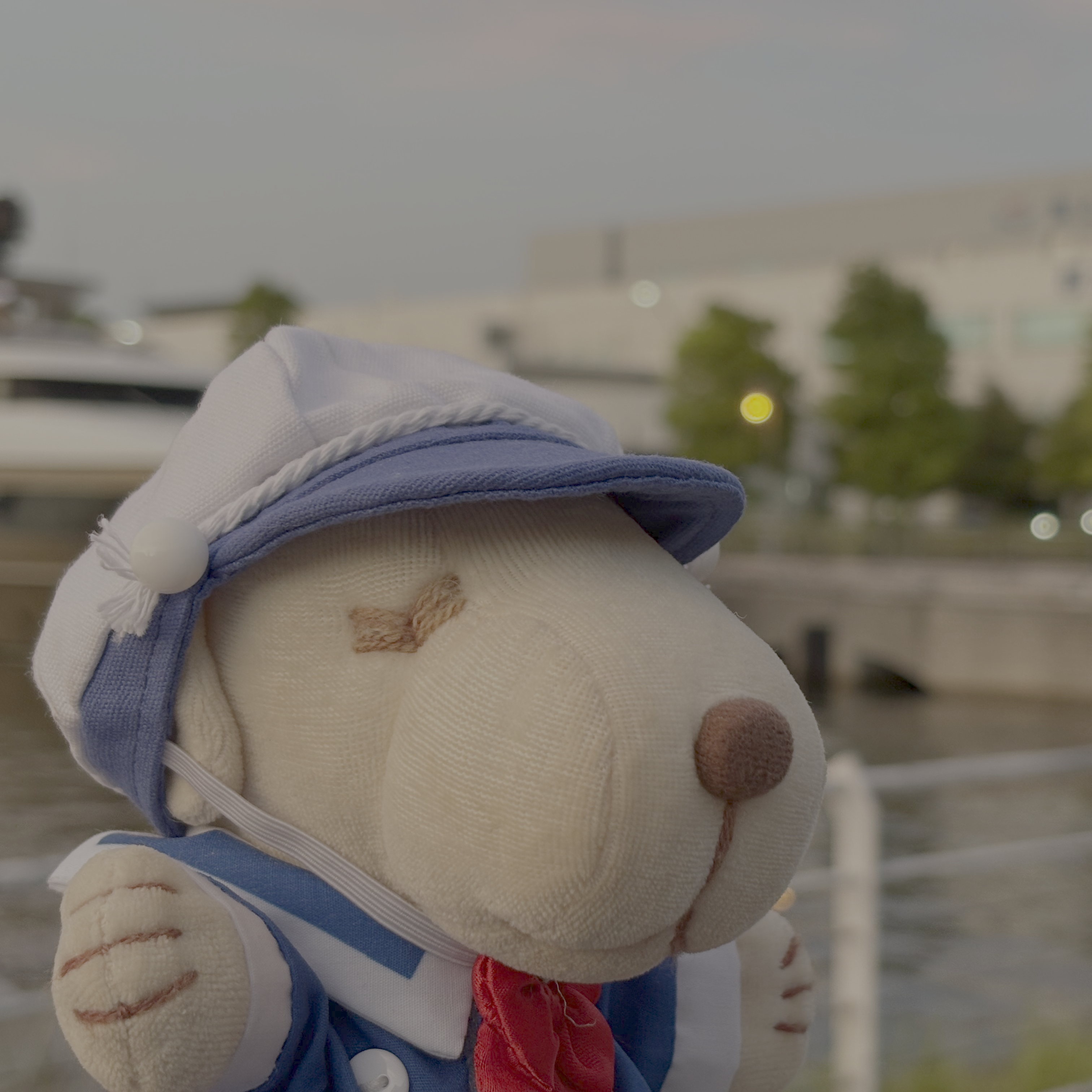 モチ蔵